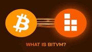 ماشین مجازی بیت ‌کوین (BitVM)