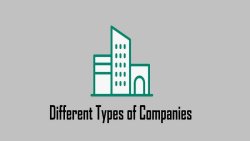 شرکت چیست؟ انواع شرکت های قابل ثبت کدام ها هستند؟