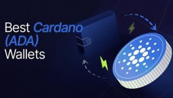 بهترین کیف پول های کاردانو