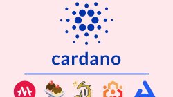پروژه های برتر شبکه کاردانو