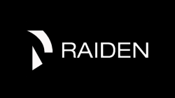 شبکه رایدن (Raiden Network)