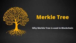 درخت مرکل (Merkle Tree) چیست؟