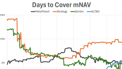 شاخص Days to Cover mNAV