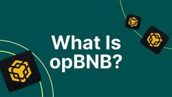 شبکه opBNB
