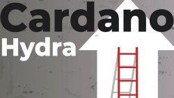 هایدرا (Hydra)، راه حل مقیاس ‌پذیری کاردانو