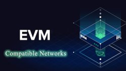 شبکه های سازگار با EVM