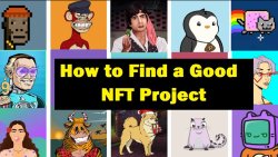شناسایی پروژه های برتر NFT