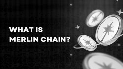 مرلین چین (Merlin Chain)