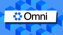 شبکه اومنی (Omni Network)