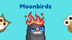 معرفی مجموعه MoonBirds