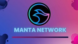 شبکه منتا (Manta Network)