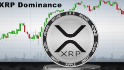 دامیننس ریپل (XRP Dominance)
