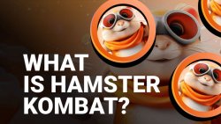 بازی همستر کامبت (Hamster kombat)