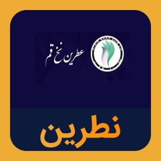سهام نطرین