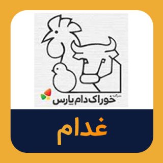 سهام غدام