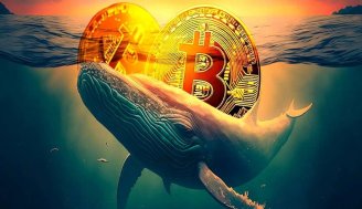 نهنگ های بیت کوین در بحبوحه رکود قیمت ها ، 4.3 میلیارد دلار بیت کوین به دست آوردند