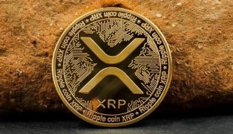 رشد فعالیت شبکه XRP همزمان با افزایش ورود سرمایه به ETF ها