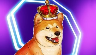 Shiba Inu برنامه‌هایی برای راه‌اندازی دامنه shib برای دارندگان SHIB اعلام کرد