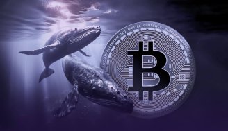 با کاهش قیمت بیت کوین، نهنگ ها در حال خرید هستند