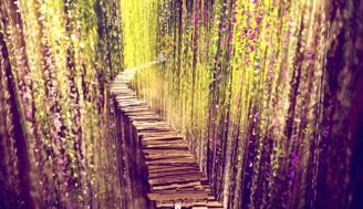 بر اساس گزارش قانونگذاران ایالات متحده، رسیدگی حقوقی به صرافی بایننس مدتی ادامه خواهد داشت