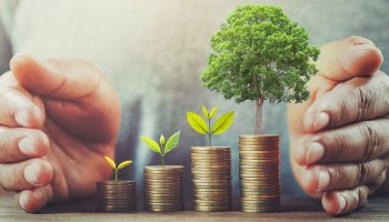 ضامن نقدشوندگی چیست؟