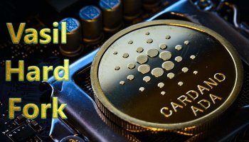 هارد فورک واسیل کاردانو (Vasil)