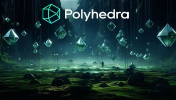 شبکه پلی هدرا (Polyhedra)