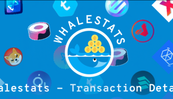 آموزش وب سایت whalestats