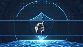 هاپی (HAPI) چیست؟