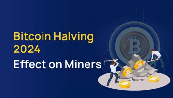 تاثیر هاوینگ 2024 بر ماینرها