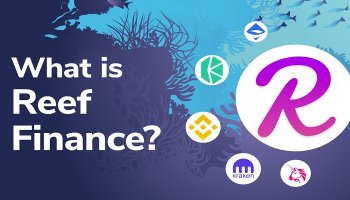 پروتکل ریف فایننس (Reef Finance)