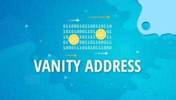 آدرس ونیتی (vanity address)