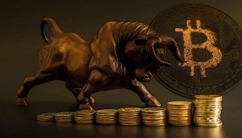 بازار گاوی در ارز دیجیتال