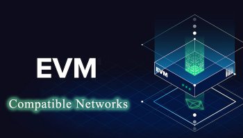 شبکه های سازگار با EVM
