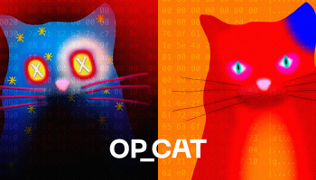 کد OP_CAT چیست؟