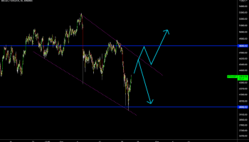 نحوه معامله با پرایس اکشن RTM