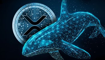 نهنگ های ریپل