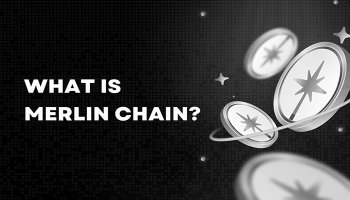 مرلین چین (Merlin Chain)