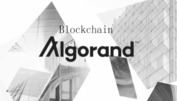 بلاک چین الگورند