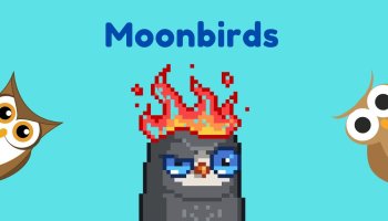 معرفی مجموعه MoonBirds