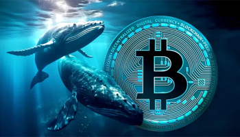 نهنگ بیت کوین