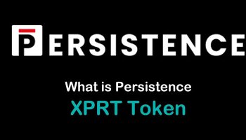 شبکه پرسیستنس (Persistence) چیست؟