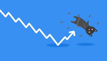 الگوی جهش گربه مرده چیست؟