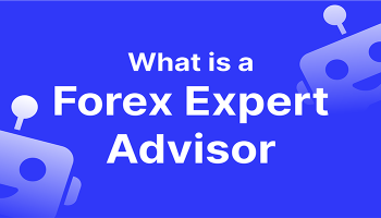 اکسپرت فارکس