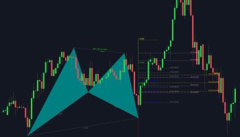 منظور از ناحیه پتانسیل بازگشتی چیست؟