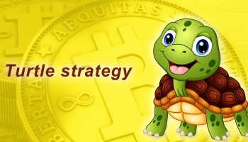 استراتژی لاک پشت چیست؟