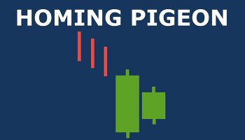 الگوی کبوتر خانگی (Homing Pigeon Pattern)