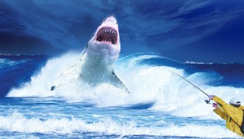 الگوی کوسه هارمونیک