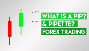 پیپ و پیپت چیست؟