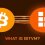 ماشین مجازی بیت ‌کوین (BitVM)